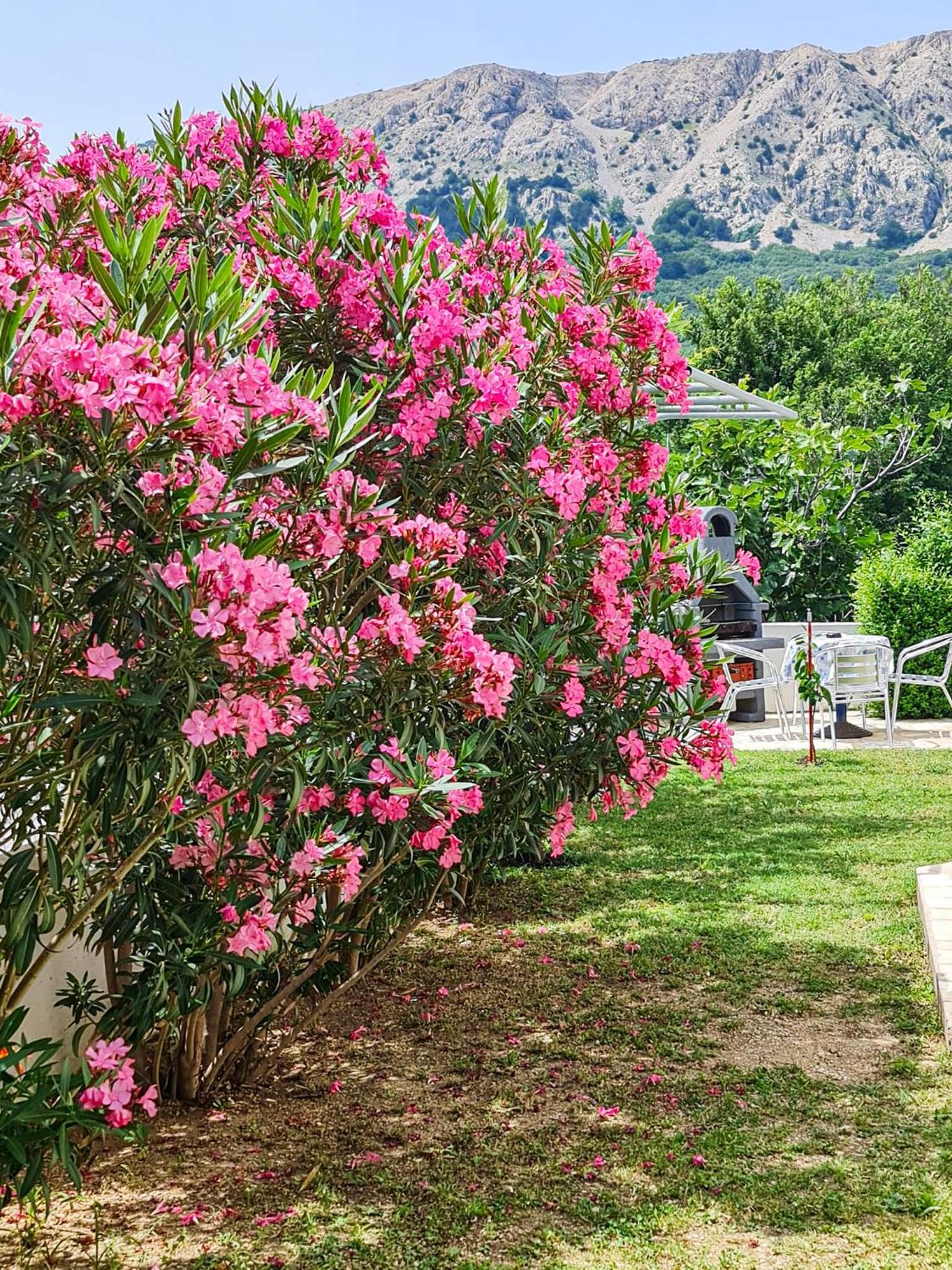 Apartments Benkovic Baška Zewnętrze zdjęcie